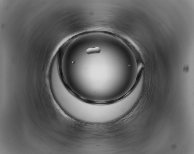 X0000100371468200806061144