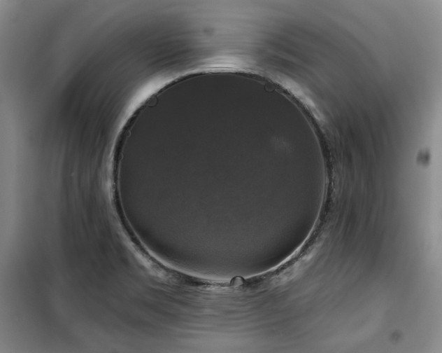 X0000100371469200806061144