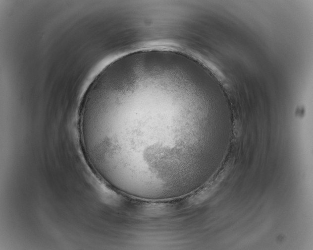 X0000100371470200806061144