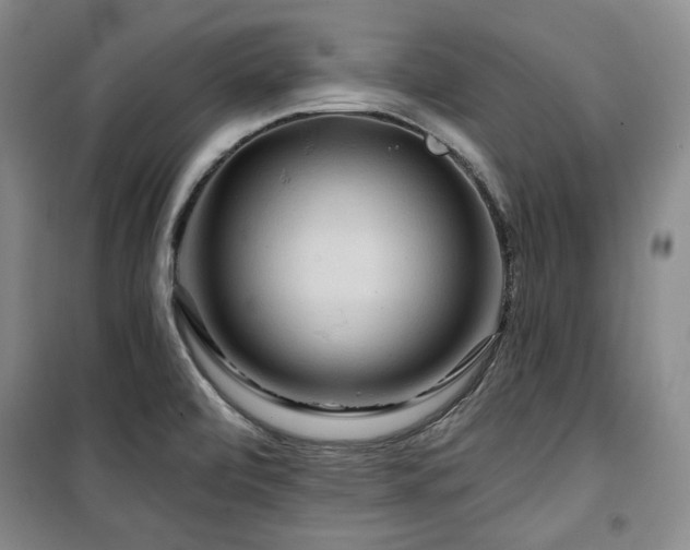 X0000100371472200806061144