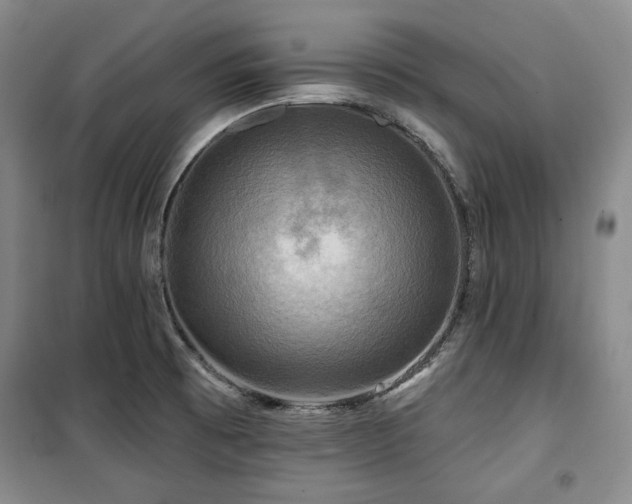 X0000100371473200806061144