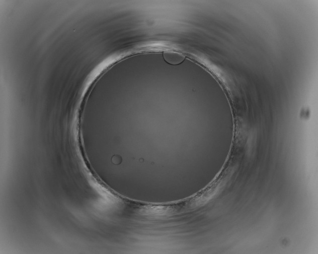 X0000100371474200806061144