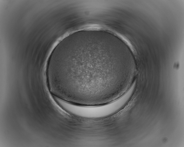 X0000100371475200806061144