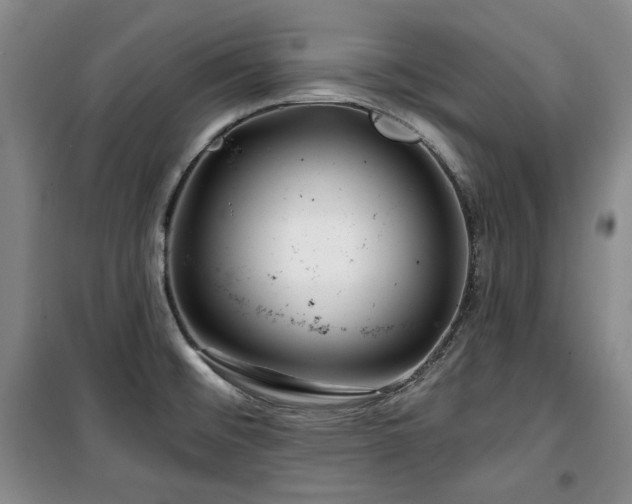 X0000100371476200806061144