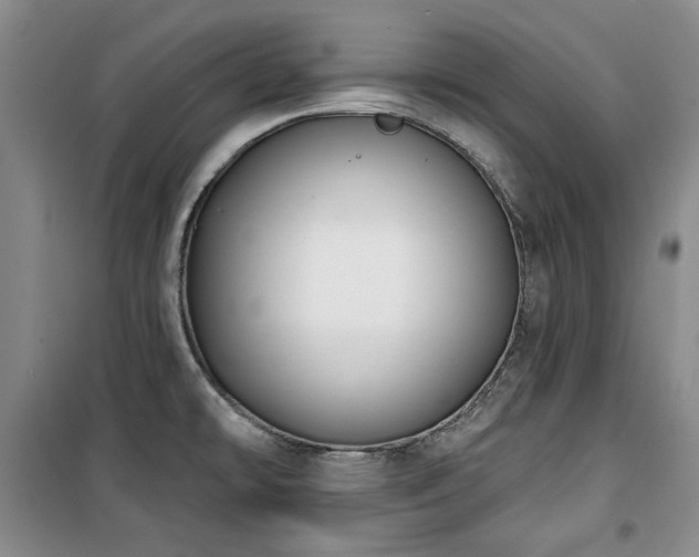 X0000100371478200806061144