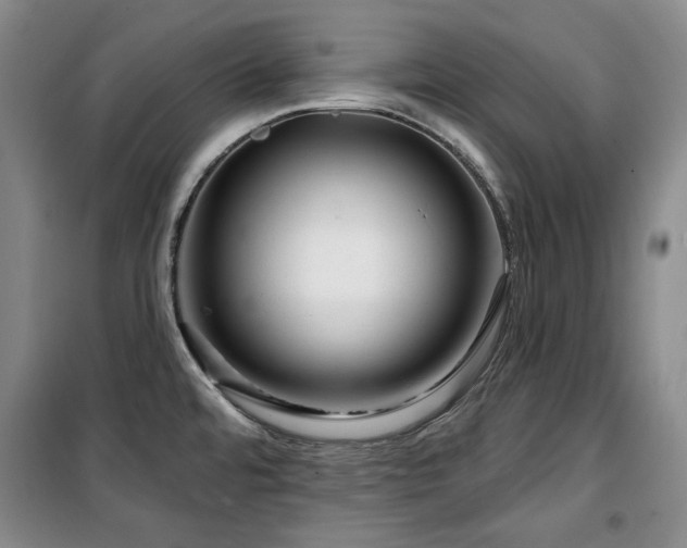 X0000100371480200806061144