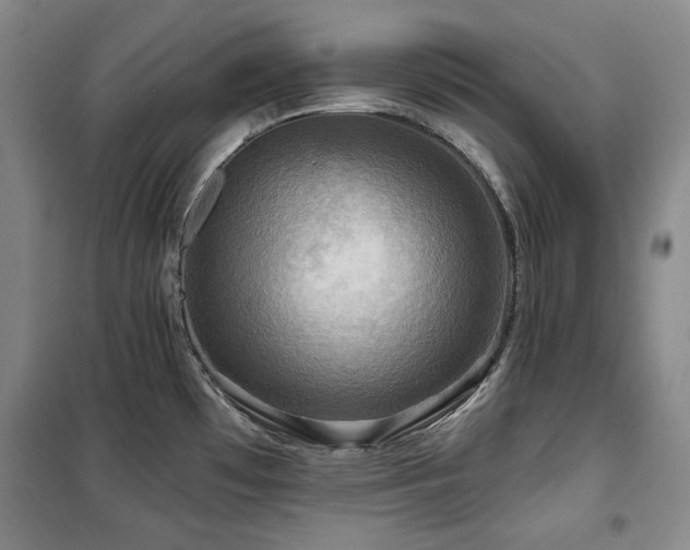 X0000100371481200806061144