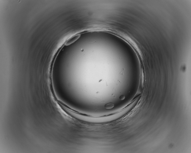 X0000100371485200806061144