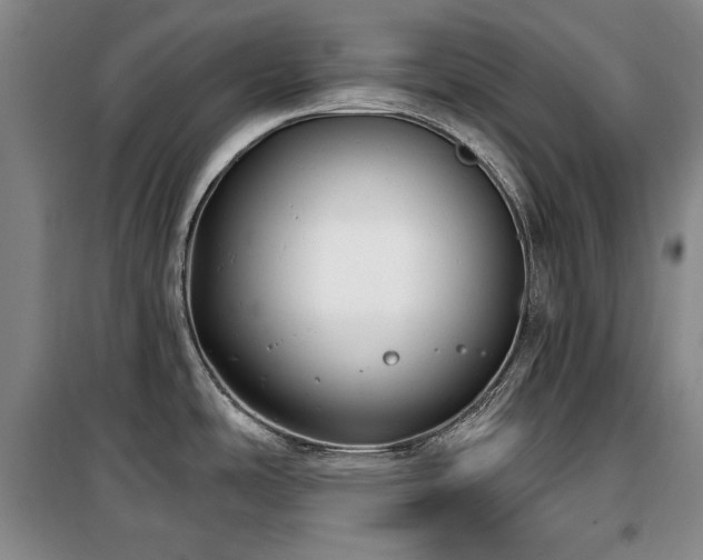X0000100371486200806061144