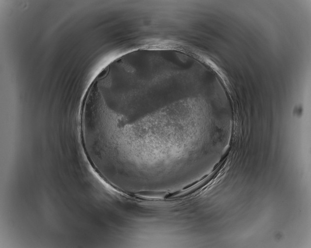 X0000100371487200806061144