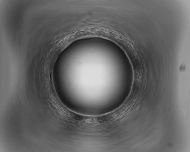 X0000100371489200806061143