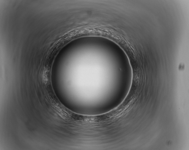 X0000100371490200806061143
