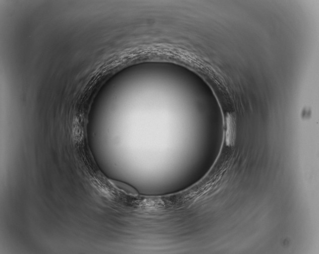 X0000100371491200806061143