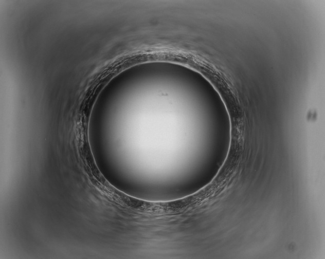X0000100371493200806061143