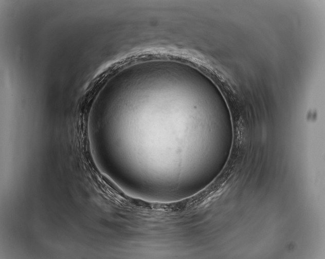 X0000100371494200806061143