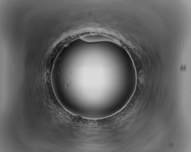 X0000100371495200806061143