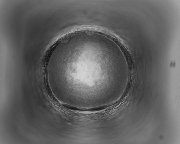 X0000100371496200806061143