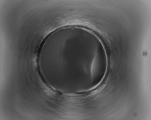 X0000100371497200806061143