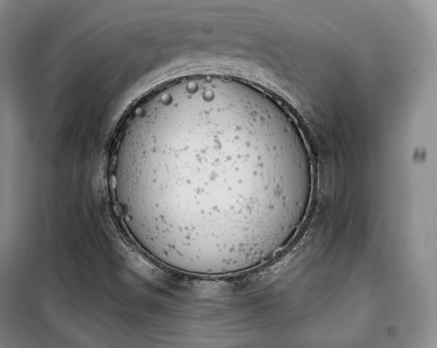 X0000100371498200806061143