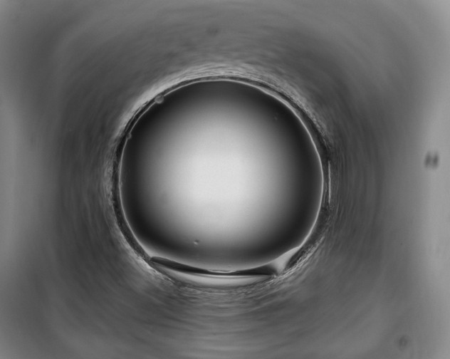 X0000100371500200806061143