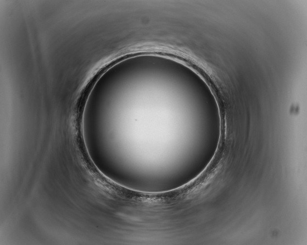 X0000100371501200806061143