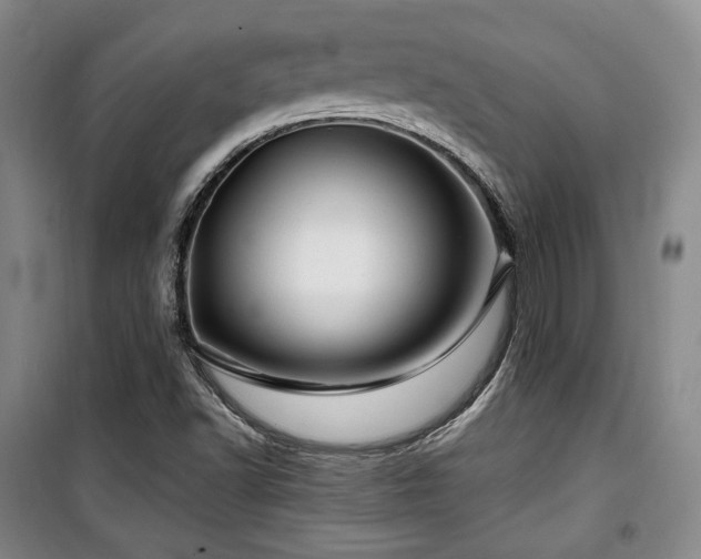 X0000100371502200806061143