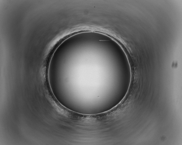 X0000100371503200806061143