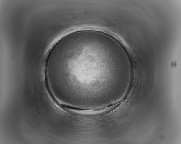 X0000100371504200806061143