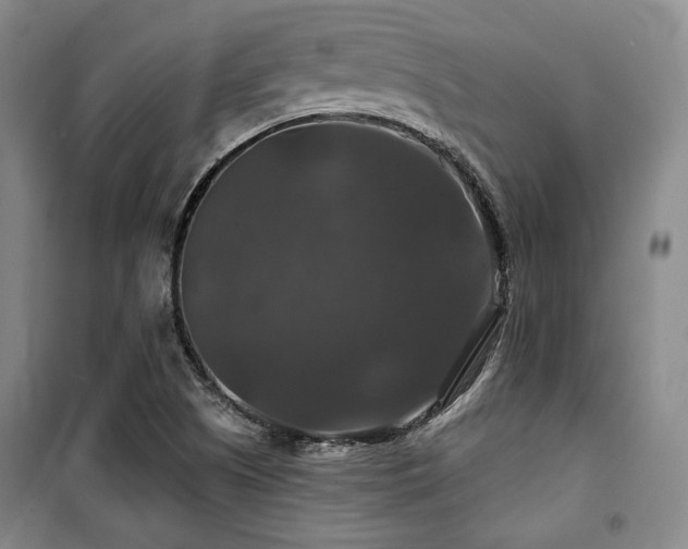 X0000100371505200806061143