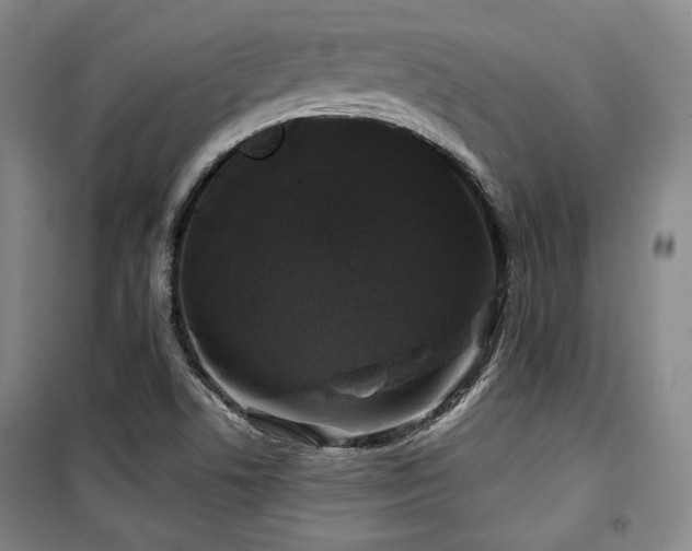 X0000100371506200806061143