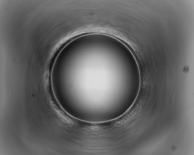 X0000100371507200806061143