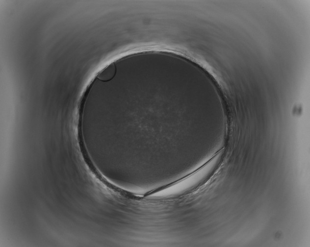 X0000100371508200806061143