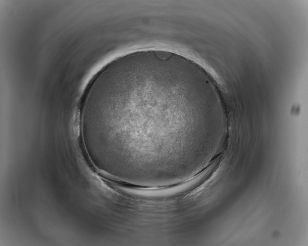 X0000100371510200806061143