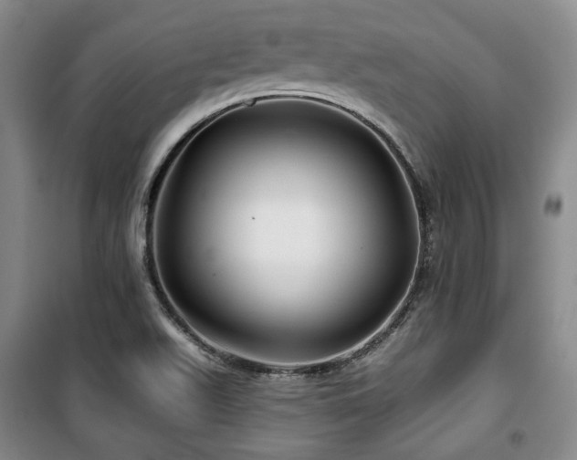 X0000100371511200806061143