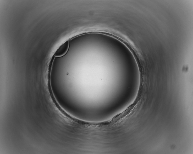 X0000100371512200806061143