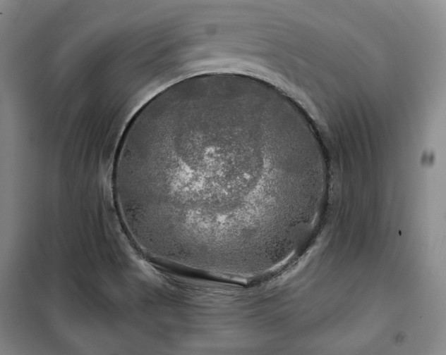 X0000100371513200806061143
