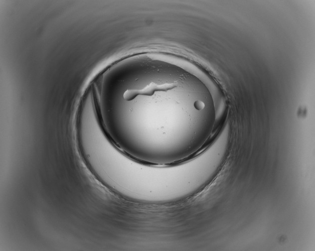 X0000100371514200806061143