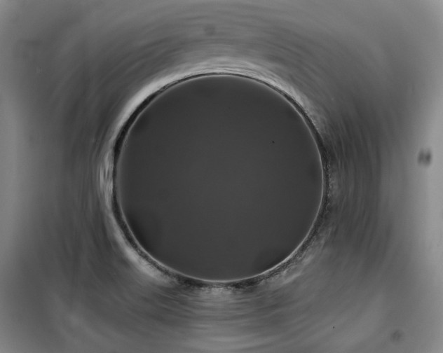X0000100371515200806061143