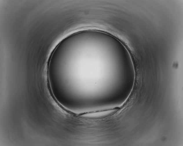 X0000100371516200806061144