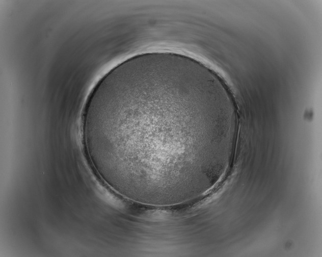 X0000100371517200806061144