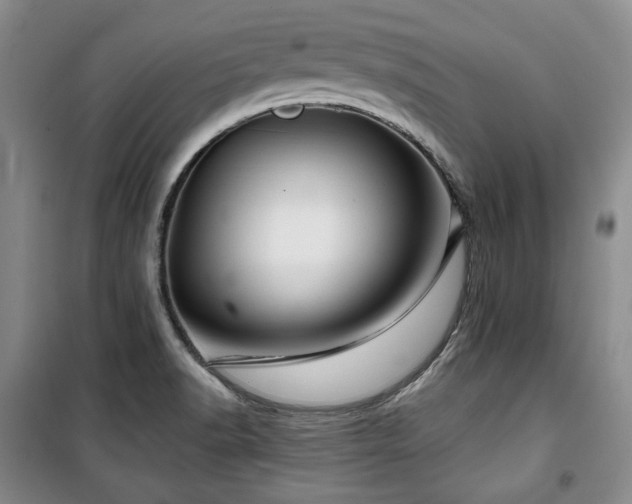 X0000100371518200806061144