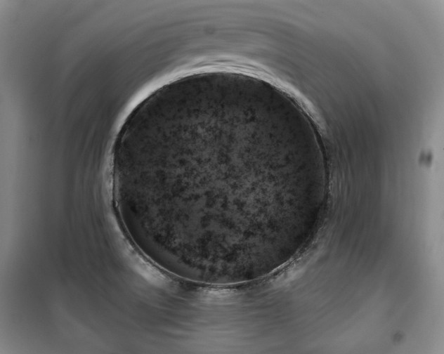X0000100371522200806061144