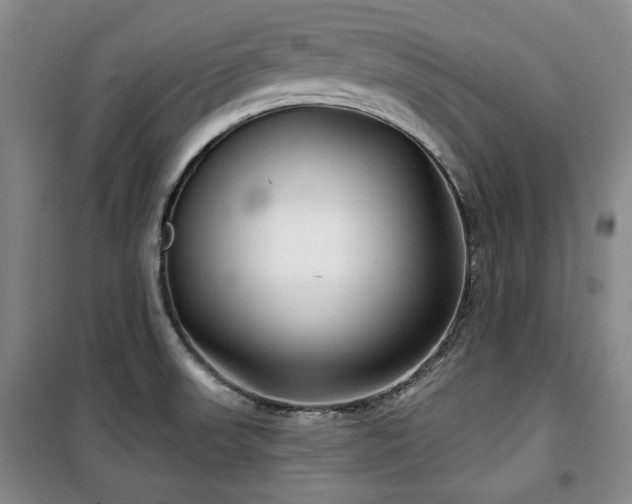 X0000100371523200806061144