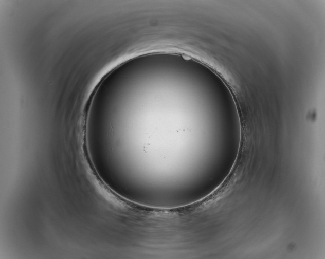 X0000100371526200806061144