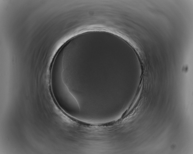 X0000100371527200806061144