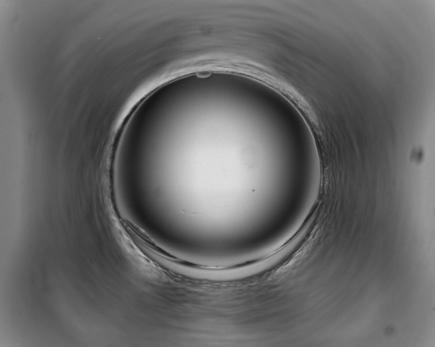 X0000100371530200806061144