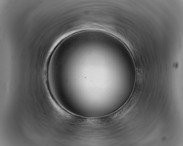 X0000100371531200806061144