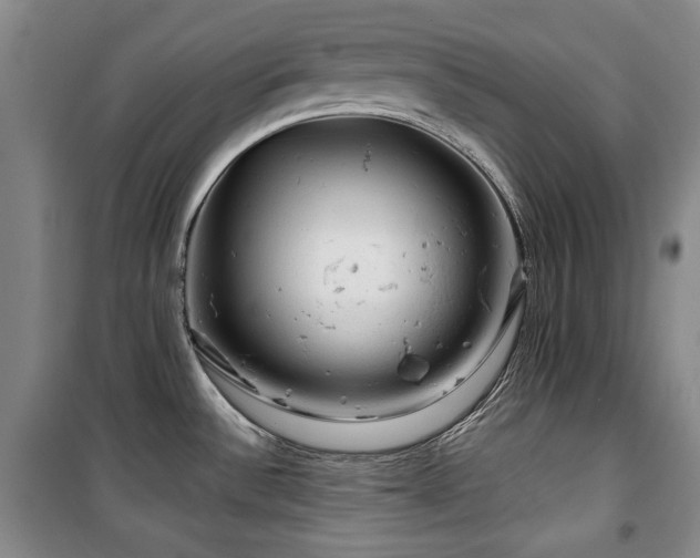 X0000100371532200806061144