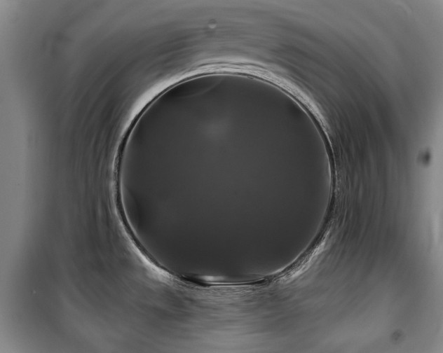 X0000100371533200806061144