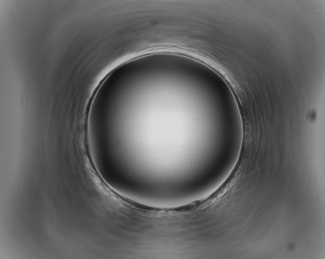 X0000100371534200806061144